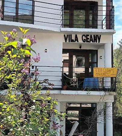 Pensiunea Vila Geany Srl Băile Herculane Extérieur photo