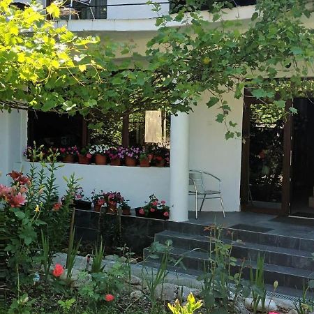 Pensiunea Vila Geany Srl Băile Herculane Extérieur photo