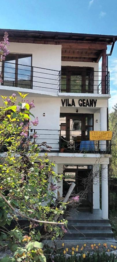 Pensiunea Vila Geany Srl Băile Herculane Extérieur photo