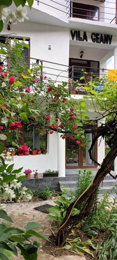 Pensiunea Vila Geany Srl Băile Herculane Extérieur photo