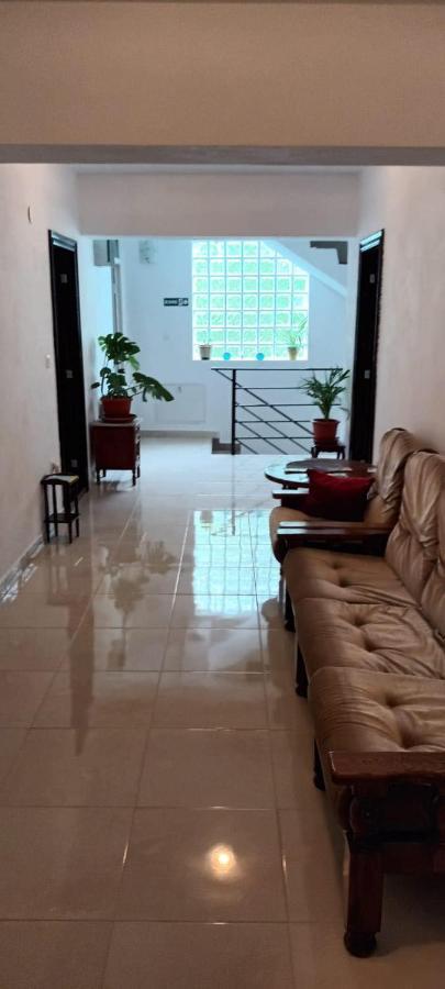 Pensiunea Vila Geany Srl Băile Herculane Extérieur photo