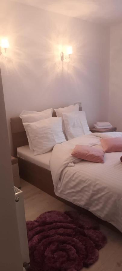 Pensiunea Vila Geany Srl Băile Herculane Extérieur photo