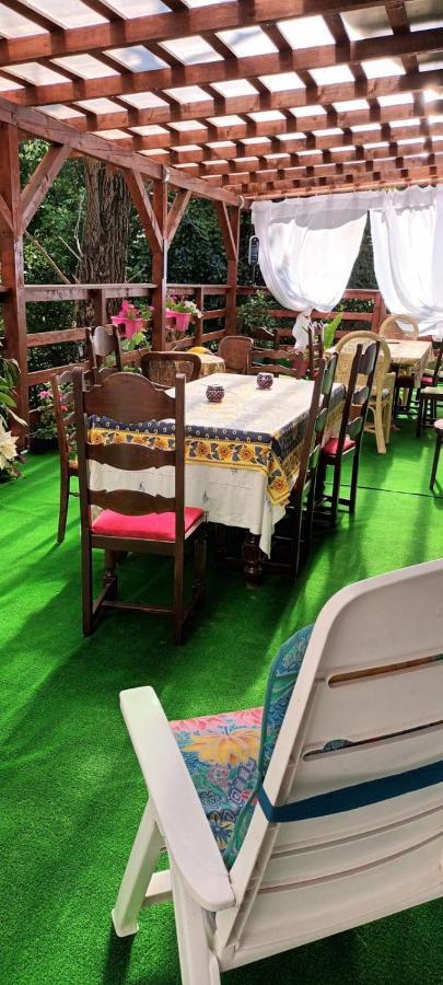 Pensiunea Vila Geany Srl Băile Herculane Extérieur photo