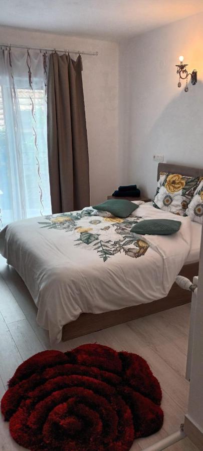 Pensiunea Vila Geany Srl Băile Herculane Extérieur photo