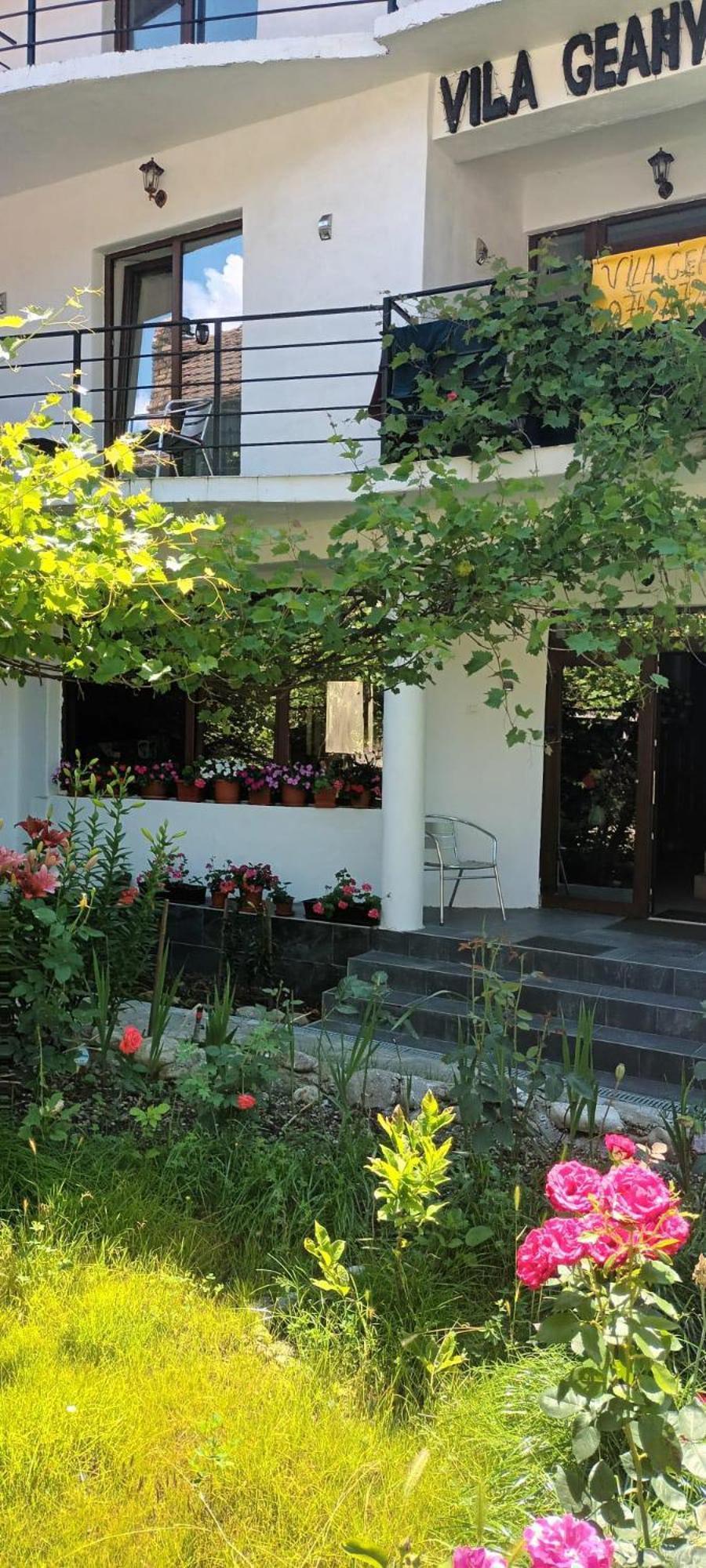 Pensiunea Vila Geany Srl Băile Herculane Extérieur photo